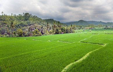 Similar image 712552