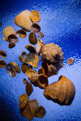 Similar image 712553