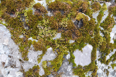 Similar image 712581