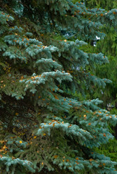 Similar image 712589