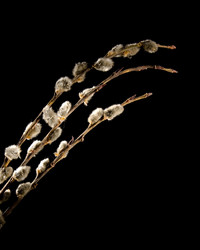 Similar image 712590