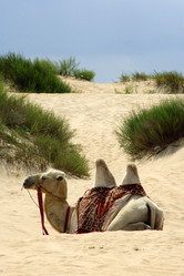 Similar image 712597