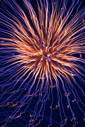 Similar image 712598