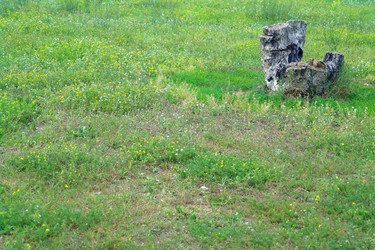 Similar image 712620