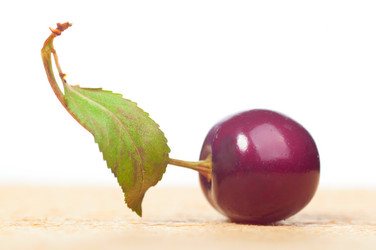 Similar image 712643