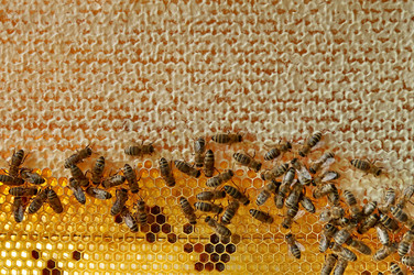 Similar image 712645