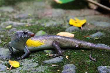 Similar image 712688