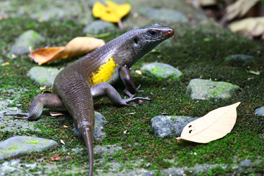 Similar image 712690