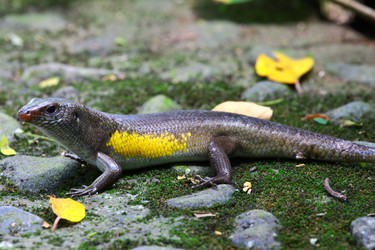 Similar image 712692