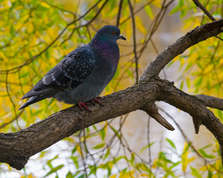 Similar image 712708