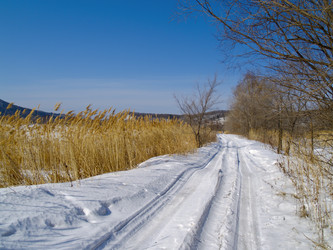 Similar image 712758