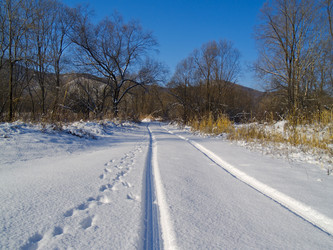 Similar image 712762