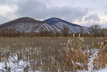 Similar image 712767