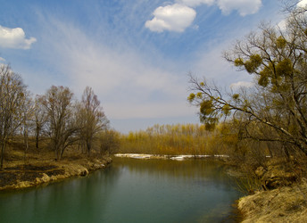 Similar image 712771