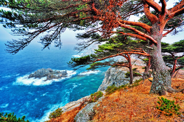 Similar image 712781