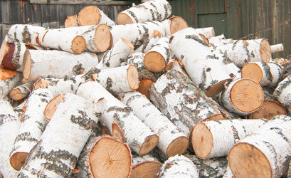 Similar image 712794