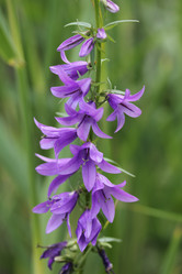 Similar image 712799