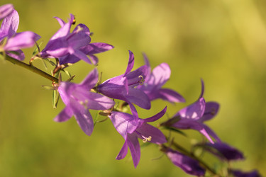 Similar image 712800