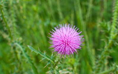 Similar image 712805