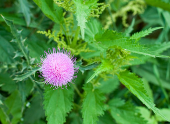 Similar image 712806