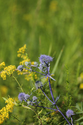 Similar image 712809