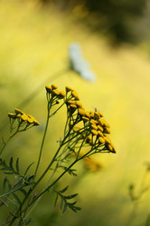 Similar image 712810