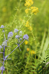 Similar image 712811