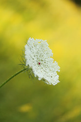 Similar image 712812