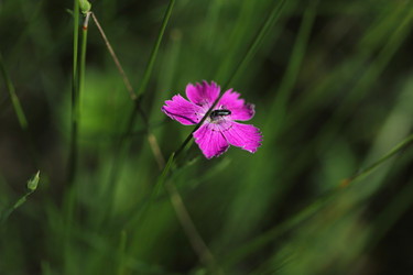 Similar image 712813