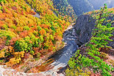 Similar image 712833