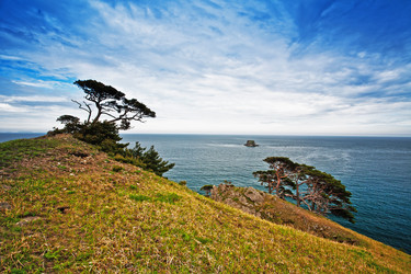 Similar image 712847