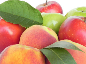 Similar image 712872