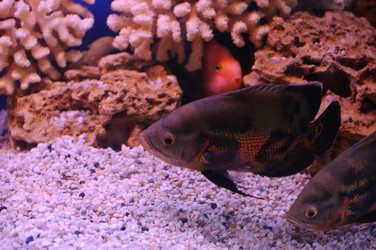 Similar image 712888