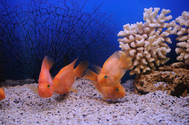 Similar image 712889