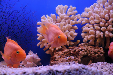 Similar image 712890