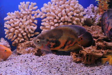 Similar image 712897