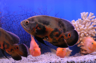 Similar image 712898