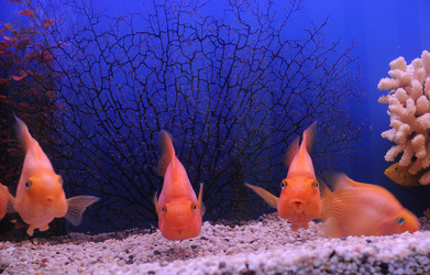 Similar image 712899