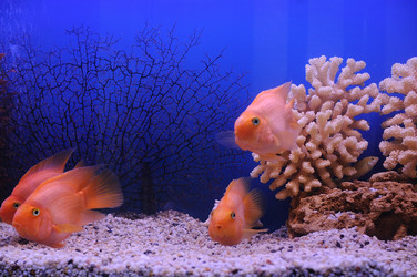 Similar image 712900