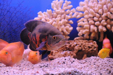 Similar image 712901