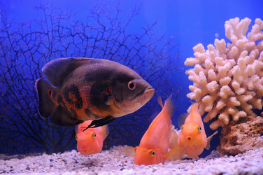 Similar image 712902