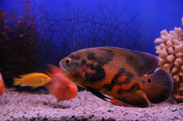 Similar image 712903