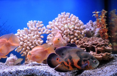 Similar image 712905