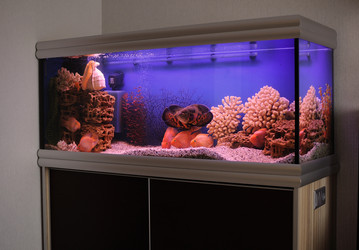 Similar image 712906