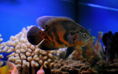 Similar image 712907