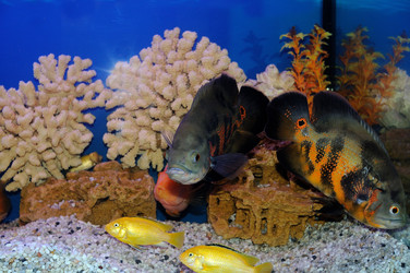 Similar image 712909