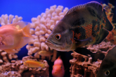 Similar image 712910