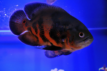 Similar image 712911