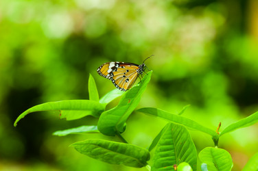 Similar image 712950