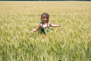 Similar image 712956